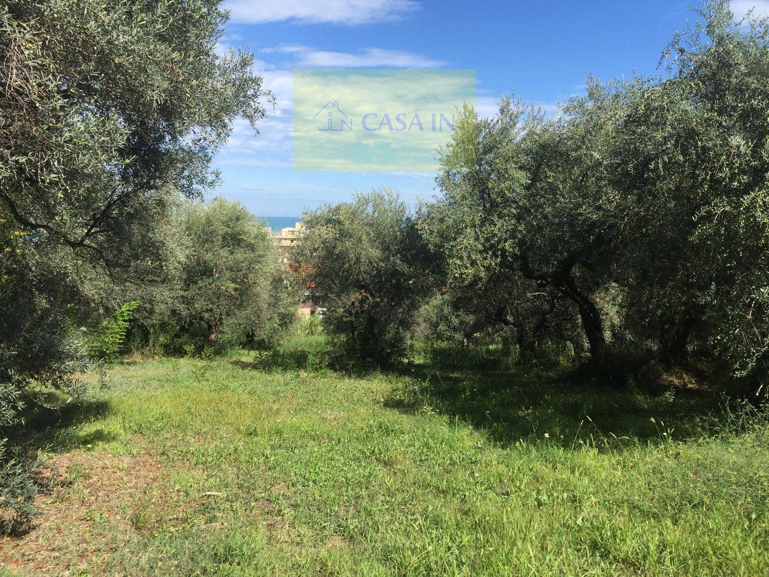 Immagine 19